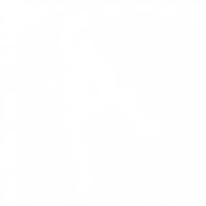 Guaranteed Emote: Take The Elf | Full Access